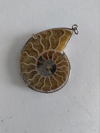 Ciondolo ammonite grande