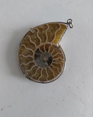 Ciondolo ammonite grande