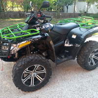 Arctic cat