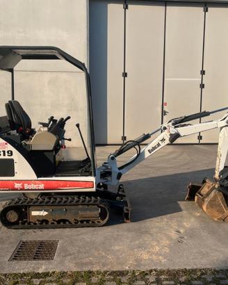 Bobcat 319