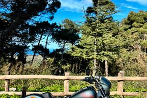 Harley-Davidson Low Rider S 2025 - PARI AL NUOVO