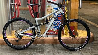 Telaio Ibis Ripmo AF taglia L 