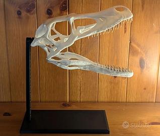 Jurassic World Park Cranio Velociraptor teschio