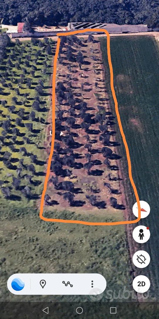 Terreno in agro di Cellino San Marco - Vista 2