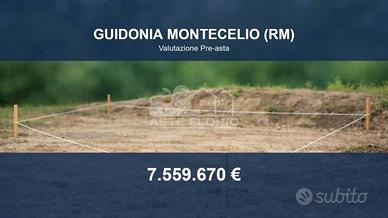 Immobile in asta di 206359 m² a Guidonia Monteceli