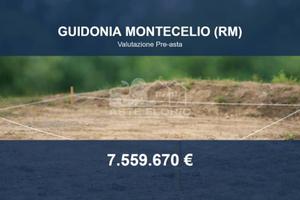 Immobile in asta di 206359 m² a Guidonia Monteceli