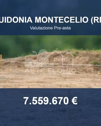 Immobile in asta di 206359 m² a Guidonia Monteceli