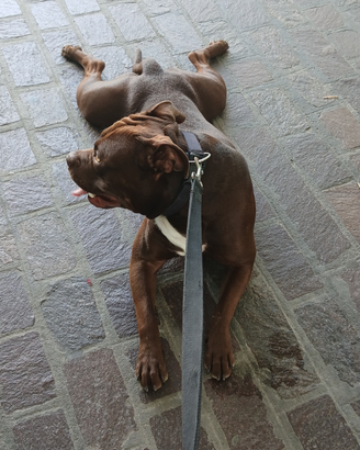 Accoppiamento
