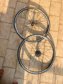 Coppia ruote Mavic Aksium
