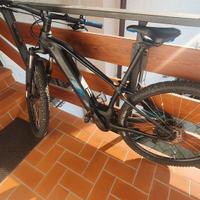 Ebike Cube  Reaction – Bosch Perf. Line Cx 625 ‘29