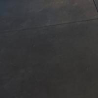 Pavimento lacertosus