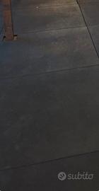 Pavimento lacertosus