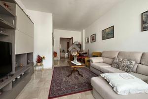 3 LOCALI A ROVIGO