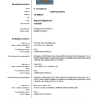 Carpentiere,muratore,autista