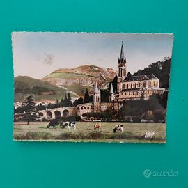 Cartolina Lourdes 1960 Mucche al pascolo 