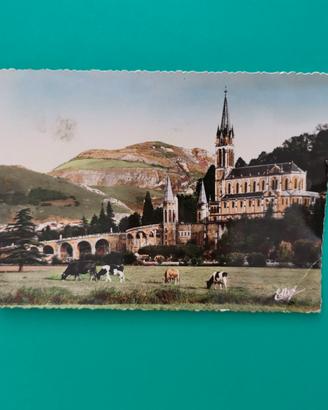 Cartolina Lourdes 1960 Mucche al pascolo 