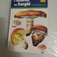 l'atlante dei funghi