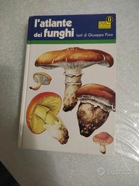 l'atlante dei funghi