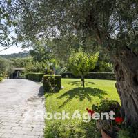 VILLA SINGOLA CON AMPIO GIARDINO E FRUTTETO