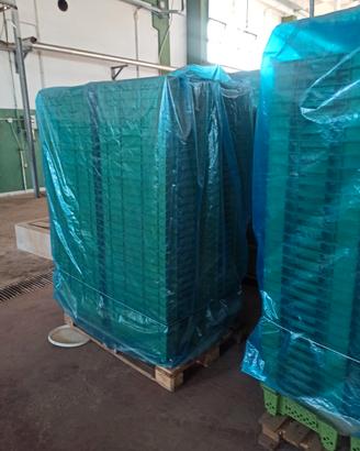 cassette plastica frutta verdura vendemmia