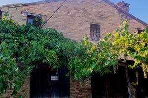 casa rustico con terreno 17.000 mq con mezzi