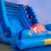 gonfiabili e giochi sportivi 3291031563