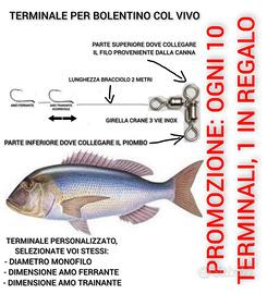 Terminale bolentino col vivo
