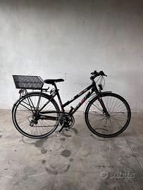 Bicicletta city bike