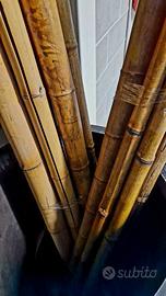 canne bambu ornamentali