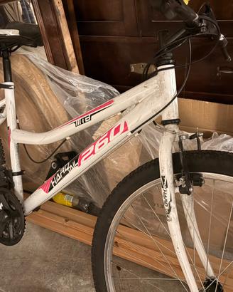 Bici ragazza