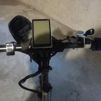 bicicletta elettrica con acceleratore 