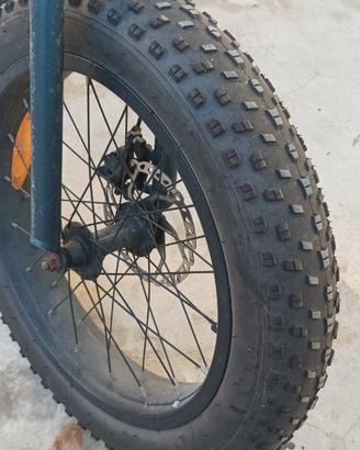 Bici elettrica