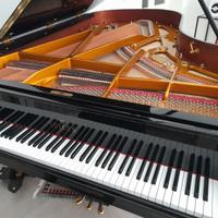 Pianoforte a coda Seiler 206