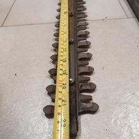 tagliasiepi telescopico