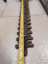 tagliasiepi telescopico