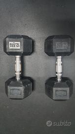 Manubri esagonali da 12.50 Kg