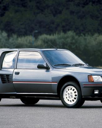 Peugeot 205 1.8i turbo 16 C.E.R.C.O.