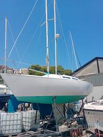 Barca a vela Stag 29