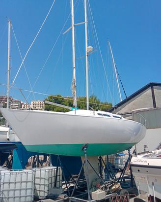 Barca a vela Stag 29