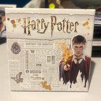 Harry Potter - Bracialetto In Pelle