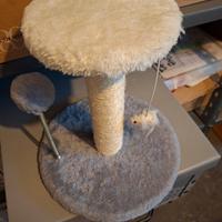 tiragraffi per gattini piccoli