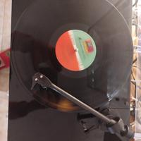 giradischi project debut carbon con sumiko oyster