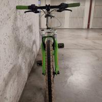 Bicicletta MTB 24