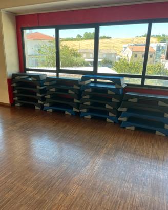 Step fitness aerobika