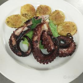 Lavapiatti aiuto cuoco