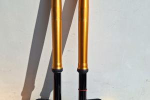 Forcelle ohlins