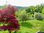 Immagine 19