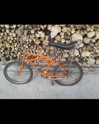 bicicletta bimbo/uomo 