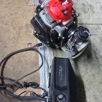MOTORE ROTAX JUNIOR COMPLETO POSS. TELAIO TONY 401