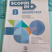 libri di matematica e geometria seconda media